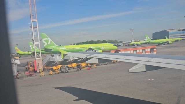 Рейс Новосибирск (Толмачёво)-Калининград (Храброво)/ Air смотреть онлайн