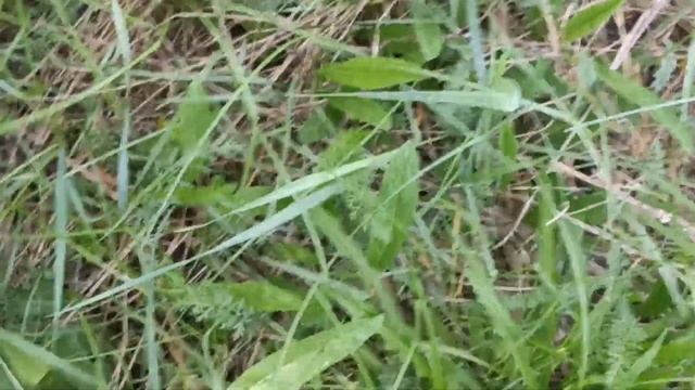 10 июня 2024 г. смотреть онлайн