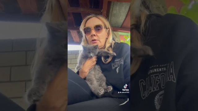 Вася ,есть люди злые 😡 #cats смотреть онлайн