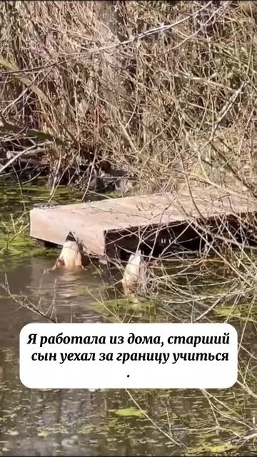 Муж не ест мою еду – только мамину. Что со мной не так? смотреть онлайн