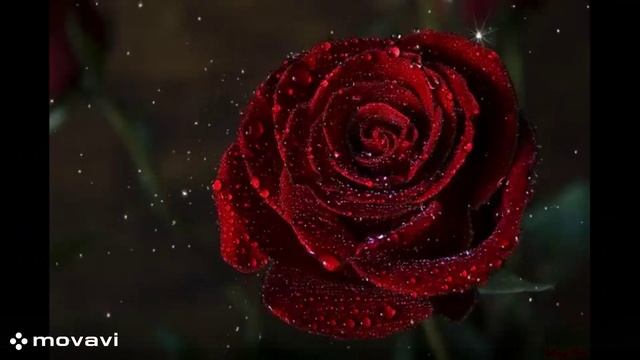 У МЕНЯ СЕГОДНЯ ДЕНЬ РОЖДЕНИЯ! смотреть онлайн