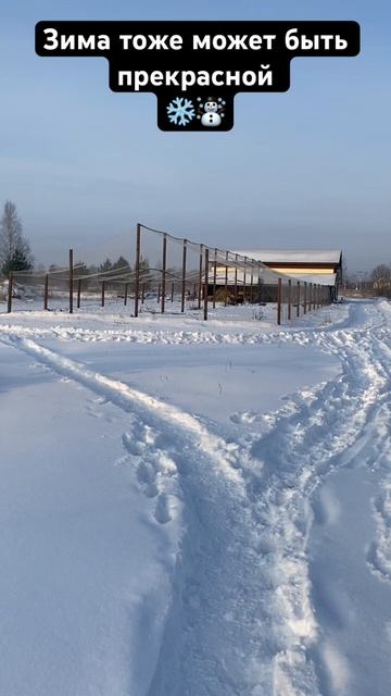 Зима тоже может быть прекрасной ❄️☃️ #зима #декабрь # смотреть онлайн