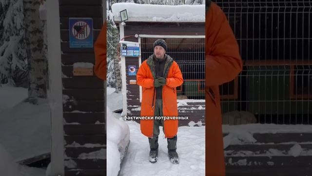 Правила бронирования и отмены нашего хаски-центра #бе? смотреть онлайн