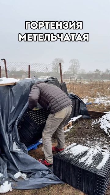 Ветер повалял нам все мультиплаты или как живет питом?