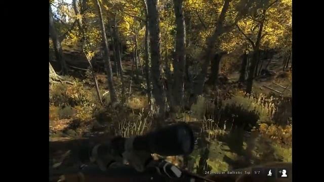 TheHunter 2 поход смотреть онлайн