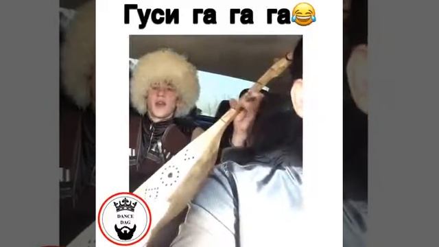 гуси гуси га га га смотреть онлайн