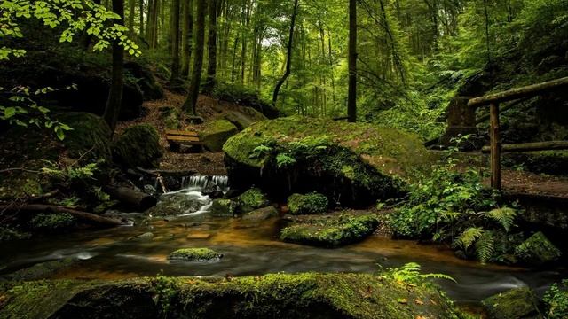 Depression Meditation with Dr. Dawn-Elise Snipes