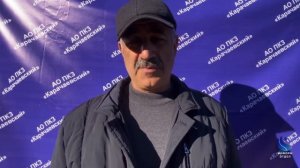 Карачаевская порода лошадей