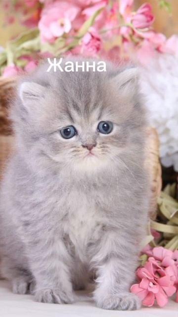 редкие имена девочек ❤️ смотреть онлайн