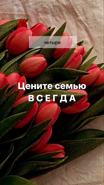 Ты самый главный человек в своей жизни и кто тебе меша? смотреть онлайн