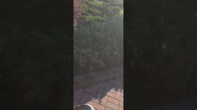 Космикс Варвар ТВ. Кос Вар ТВ. Реклама может быть ваша ? смотреть онлайн