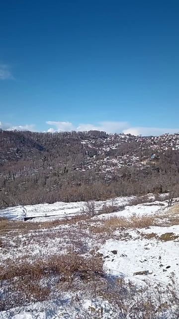 Зима в Сочи #снег #зима #сочи #небо #лес смотреть онлайн