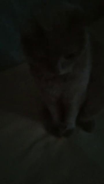 у меня есть вкусная конфетка сейчас буду кушать ну и п? смотреть онлайн