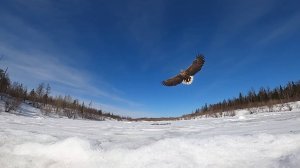 Классная рыбалка на озере весной. День второй. 25.04.2022