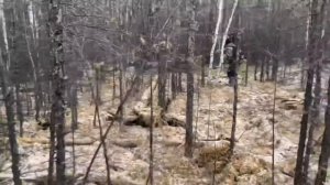 Один день с отшельником (30 лет одиночества 44серия)