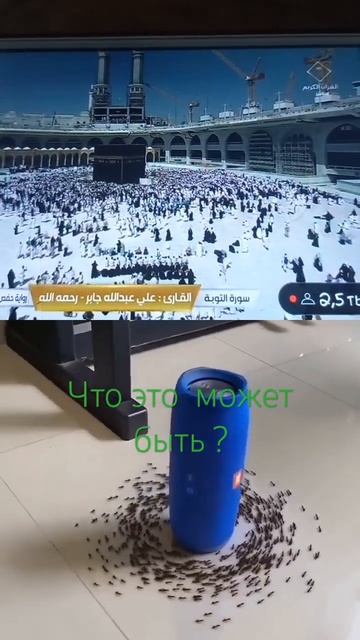что это может быть ? #хадж у #муравьёв #чудо смотреть онлайн