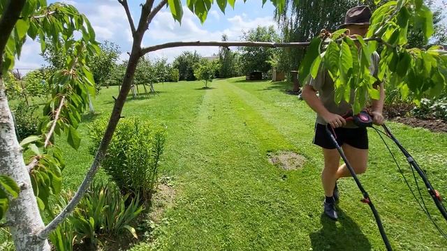 Маринад для шашлыка. Газонокосилка работает на площад смотреть онлайн