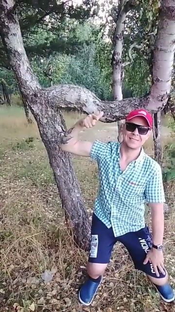 Берёза - качок смотреть онлайн