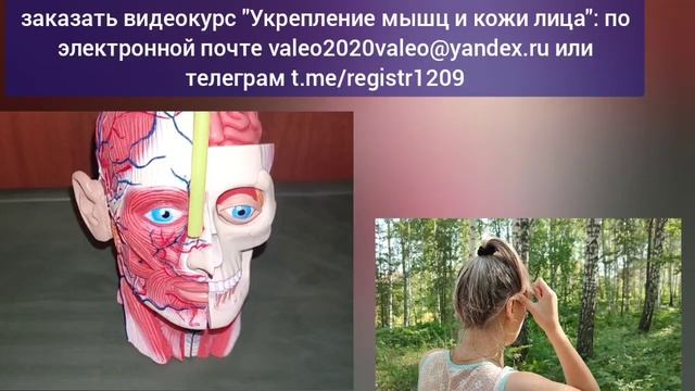 Сосуды мозга и глаз погибают от спазма лобной мышцы. 3 ? смотреть онлайн