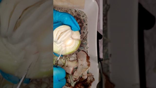 Обработка " Свит Нимф " 🙏😄 смотреть онлайн