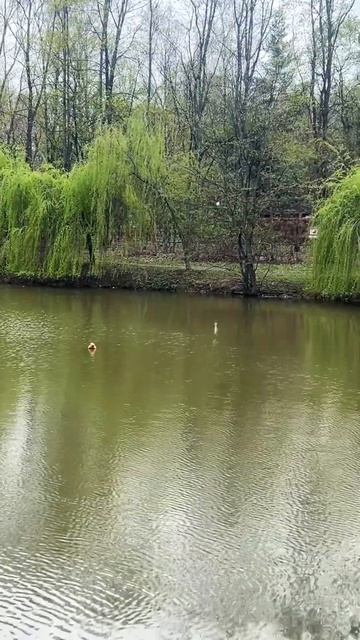 Счастье есть! смотреть онлайн