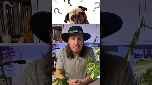 А какого цвета миска вашей собаки? смотреть онлайн