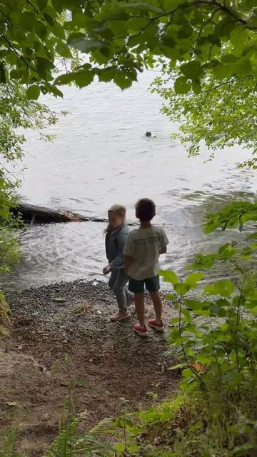 Хорошо быть кошкой, хорошо собакой, где хочу поплаваю смотреть онлайн