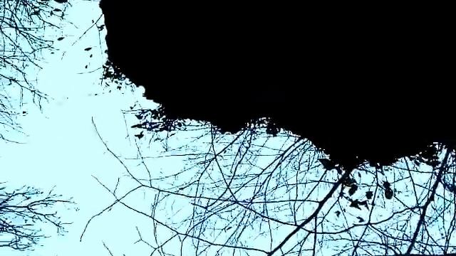 Копия видео 