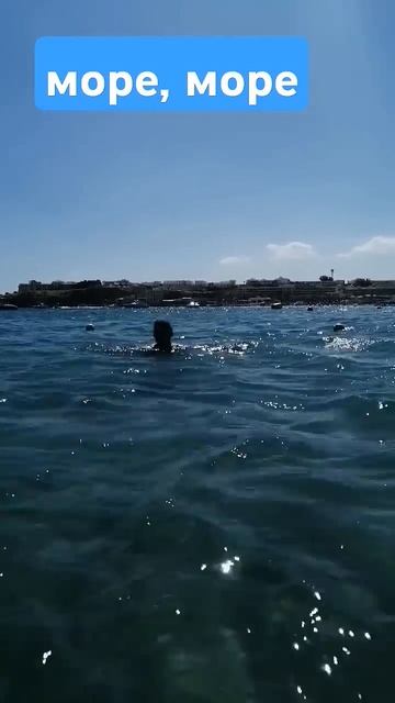 Первый раз на море. Шарм-Эль Шейх #котик #cat смотреть онлайн