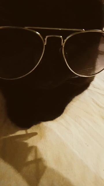 Если бы котики ходили в школу смотреть онлайн