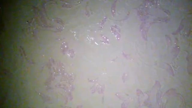 Лол из бумаги смотреть онлайн