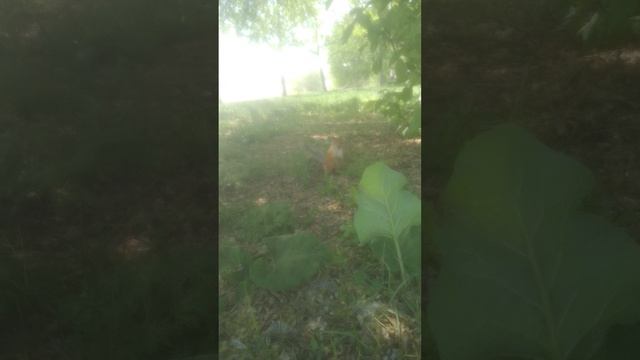 1000149874.mp4 смотреть онлайн