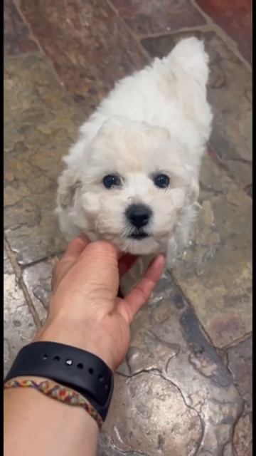 💡 Human Connections Beyond Words. 💡 Связь между людьми без слов. смотреть онлайн