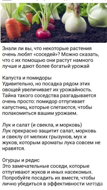 А вы знали? Сад и огород смотреть онлайн
