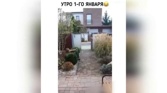 Пздц ты меня расмешнил , расмеял смотреть онлайн