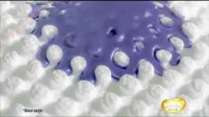 Реклама Хаггис Элит Софт - Нежные как мамино прикосновение