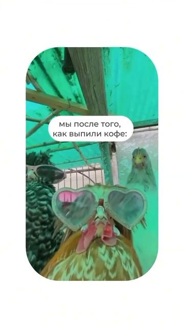 Закажите прямо сейчас и убедитесь, что утро может быть смотреть онлайн