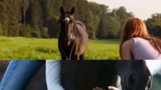 Оствинд 1 и Оствинд 2 смотреть онлайн