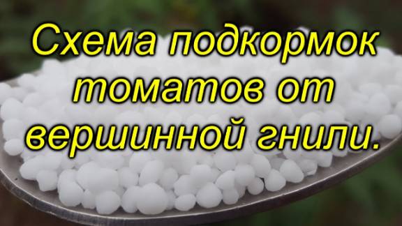 🍅 Кальций для томатов: как избежать вершинной гнили? смотреть онлайн