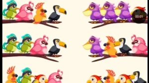 Сортируй и заливай птиц цветом, чтобы помочь им летать.  Добро пожаловать в нежный мир Bird Sort Col
