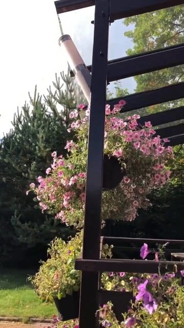 Мой осенний сад смотреть онлайн