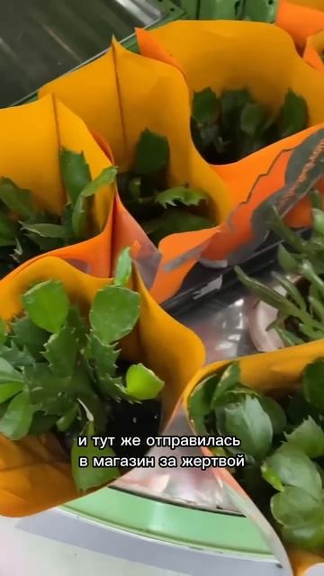 А вам интересно смотреть такие мои эксперименты?😅 #ра смотреть онлайн