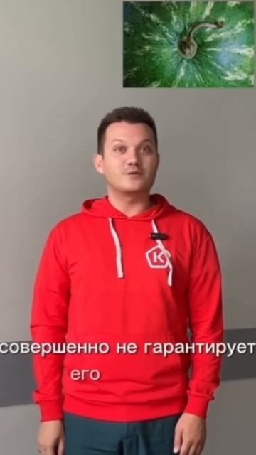 Как правильно выбрать арбуз? Подпишись, у нас на канал? смотреть онлайн