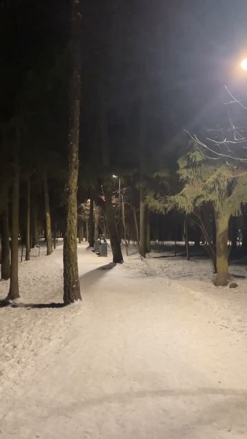 Гулять по лесу со своей семьей это лучшее что есть на с смотреть онлайн