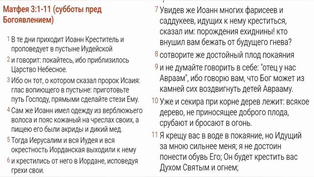 Евангелие от Матфея, Глава 3, стихи 1-11. (18/01/2025) смотреть онлайн