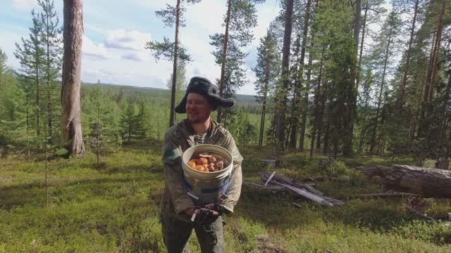 СЧАСТЛИВЫЙ ГРИБНИК СОБИРАЕТ ГРИБЫ НА ЛЕСНОЙ ОПУШКЕ. В ЛЕС ПО ГРИБЫ. СБОР ГРИБОВ. ТИХАЯ ОХОТА смотреть онлайн