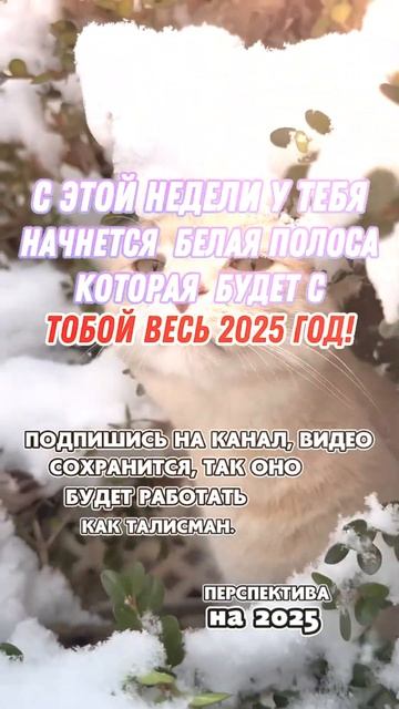 Когда знакам зодиака привалит много денег #знакизоди? смотреть онлайн