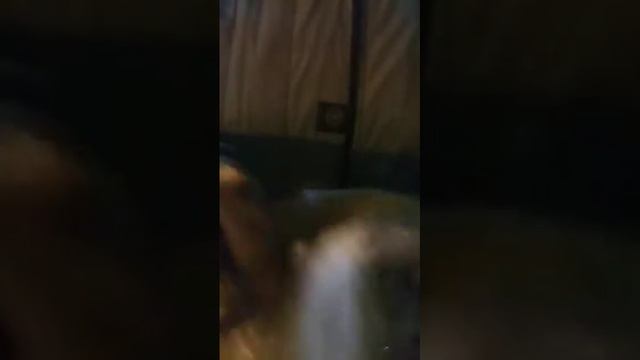 Учитель Калки. Благотворительная акция: помощь малоим смотреть онлайн