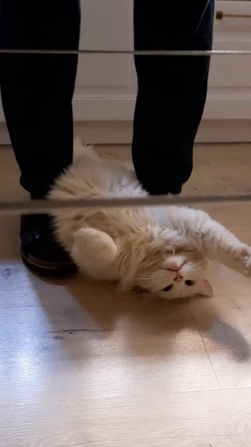 МАСТЕР КГАСС ОТ МАТИЛЬДЫ. БОЛЬШОЙ ИМПЕРСКИЙ КАНАЛ АС смотреть онлайн