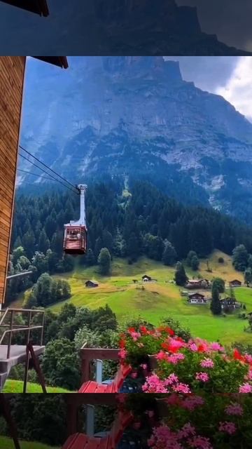 Все начинается.......#стихи #всёбудетхорошо смотреть онлайн